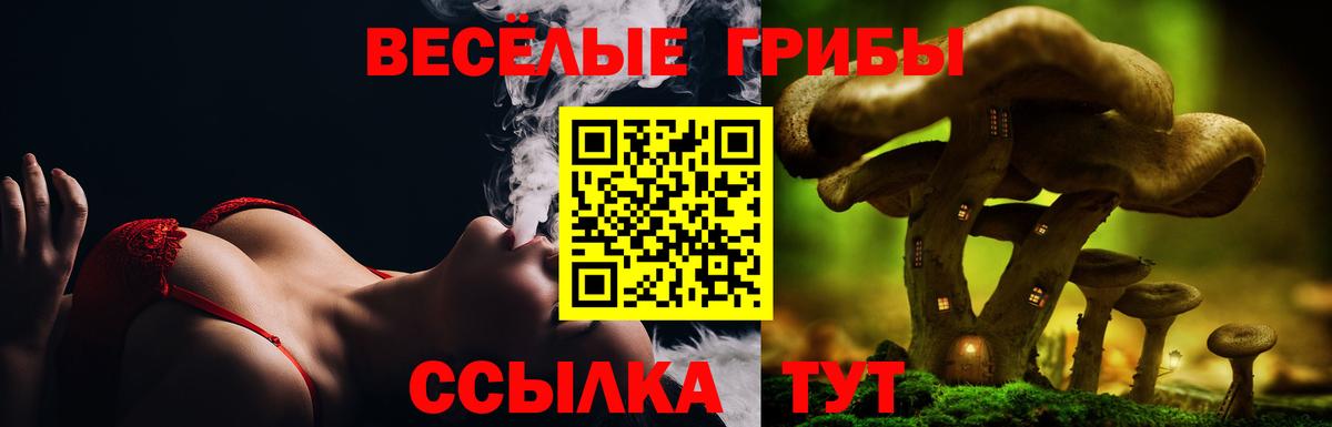 Псилоцибиновые грибы мухоморы Миасс